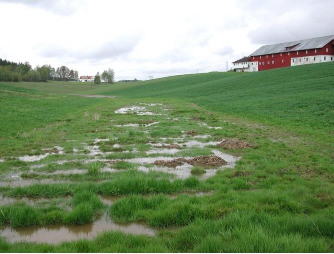 Bekkeåpning og restaurering I landbrukslandskapet er mange bekker lukket i rør, mens andre er rettet ut eller