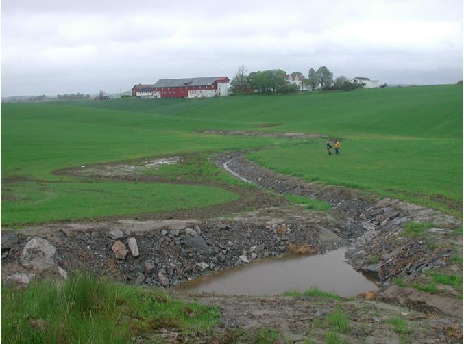 Dette har gitt et fattigere kulturlandskap, mindre biologisk mangfold, forurensning og større flomtopper.