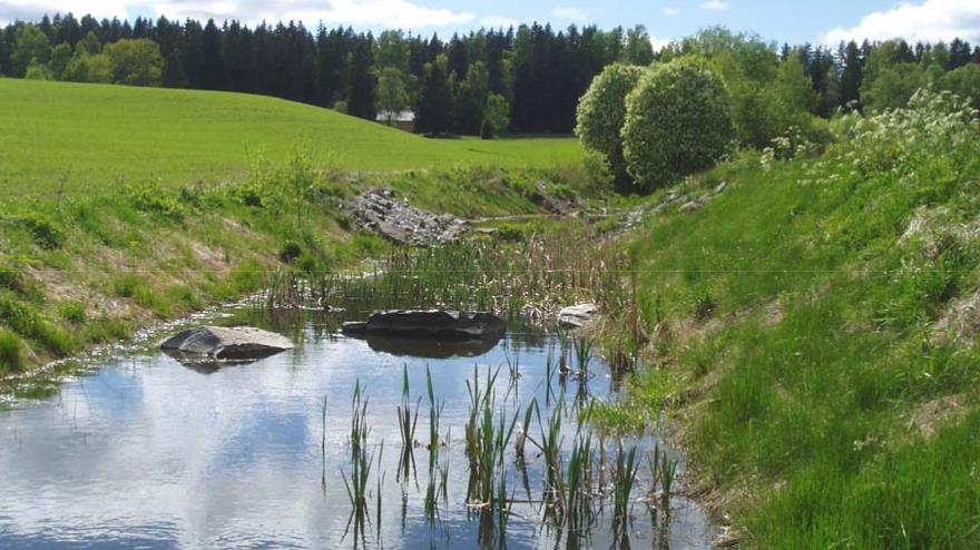 kan holdes tilbake, og næringsstoffer kan tas opp av vegetasjonen De ulike delene av fangdammen skilles ofte med lave terskler eller permeable