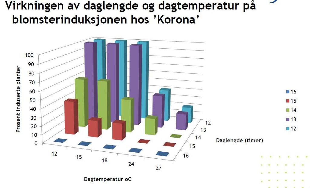 Resultat