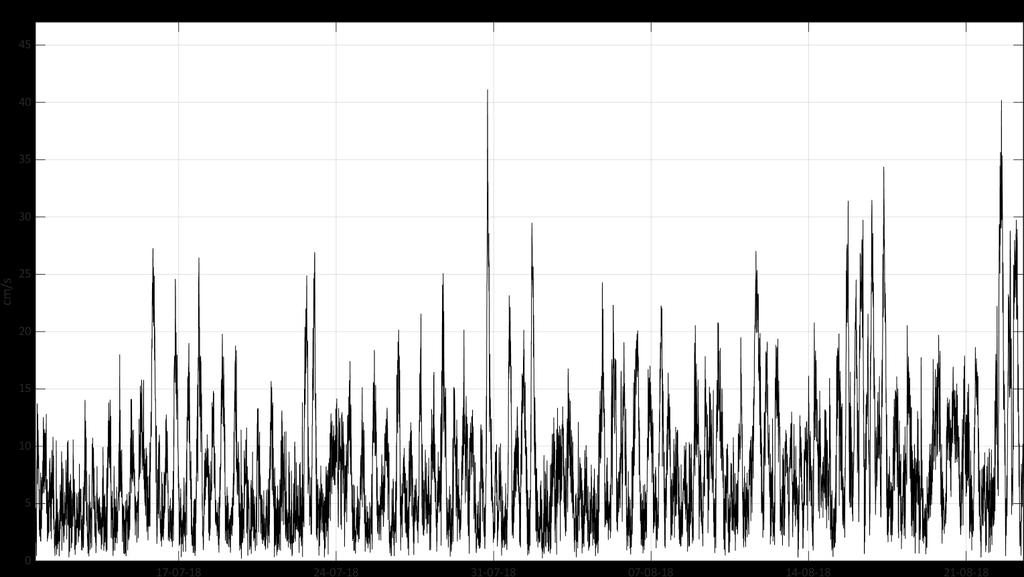 Tidsserie - strømhastighet Figur 3: Vannstrømhastighet (cm/s) på 5 meters dyp ved Rundreimstranda i perioden 10.07 23.08.2018.