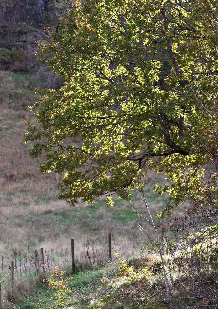 FOR MER INFORMASJON OG BEFARING: EiendomsMegler 1 Lyngdal Alleen 5 4580 LYNGDAL