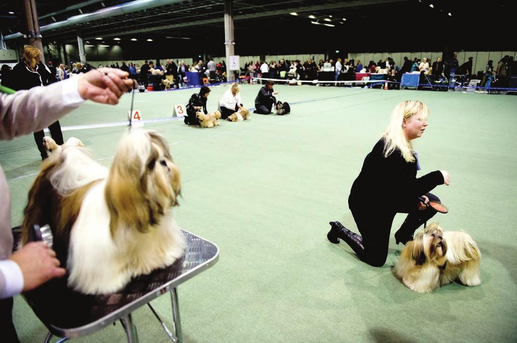 Din hund skal stilles ut Påmeldingsfristen til en utstilling går vanligvis ut fire uker før utstillingsdato. Bruk elektronisk påmelding via nkk.no.