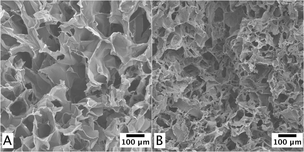 Nanocellulose for regenerering av kroppsdeler Konstruksjon av porøse,