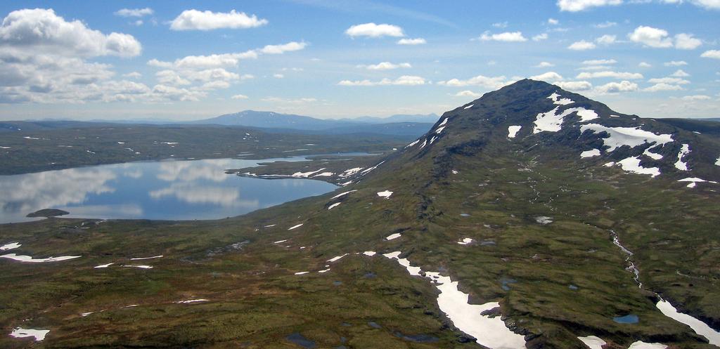 Har vist veg: Forvaltningsmessig er Forollhogna i dag ansett som det best drevne villreinområdet i Norge. Bildet viser Hogna (1332 m.o.h.) og Forollsjøen, sett nordfra. ringer og strukturtellinger.