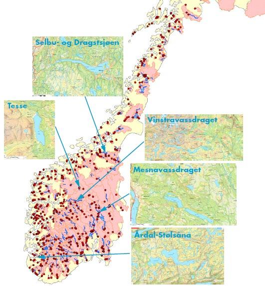 Vår analyse fokuserte på de med størst produksjon Metode: 1.