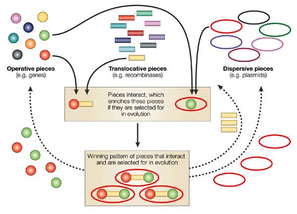 HUMAN CLINICAL ISOLATES NORM / NORM-VET 218 A metagenomics approach Metagenomics is a critical tool to study conversion of what Baquero termed pieces into patterns i.e. from independent genetic determinants to the configuration of a resistant host (12) (Figure 78).