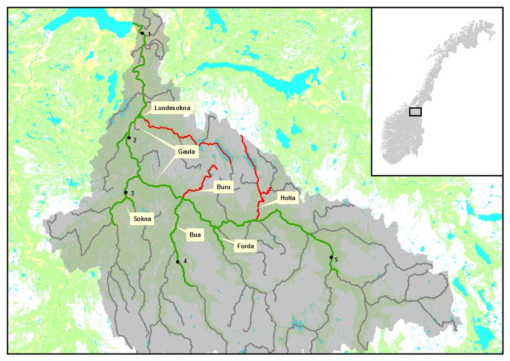 1 Innledning Gaulavassdraget er det største og mest vannrike vassdraget i den sørlige delen av Trøndelag med et samlet nedbørfelt på 3 653 km 2.