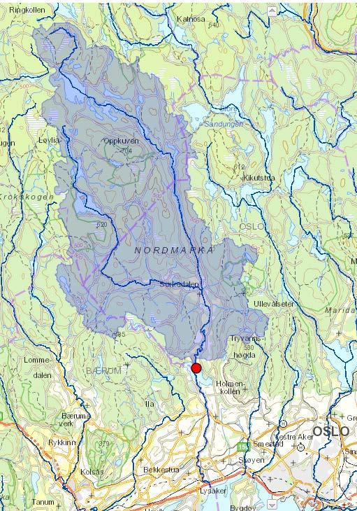 , 11 og 13), ungfisktetthet (stasjon 8, 11 og 13), tetthet av elvemusling