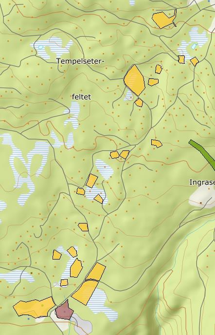 OMRÅDE: Tempelseter H59a-b Ingrasetra Gbnr 143/11 Innspill: 5 Dagens formål: LNF, fritidsbebyggelse og næring Foreslått formål: Fritidsbebyggelse Arealstørrelse: 69,5 daa Moh.