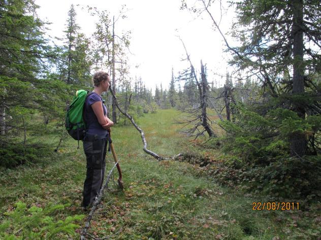 Området Planområdet ligger på omtrent 850-900 moh i fjellområdet mellom Gaustatoppen og Tinnsjø, helt nord i Notodden kommune.