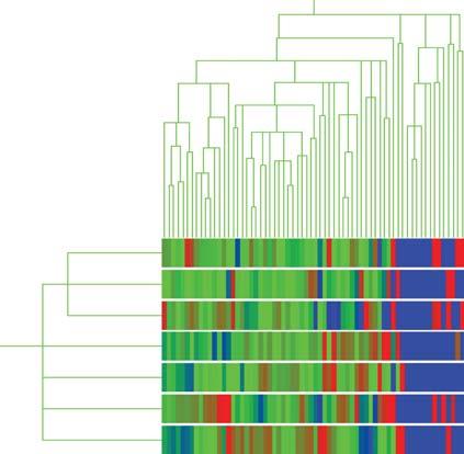 95 to the expression profile of TNNI3 are grouped and defined as downregulated genes. the pathogenesis of C. neoformans infection remain to be defined.