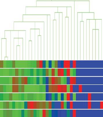 Ambrose Jong et al. 7 MHC 3 gene tree Figure 7: Gene tree of MHC genes fluctuated during C. neoformans infection: expression profiles changes in HBMEC are observed.