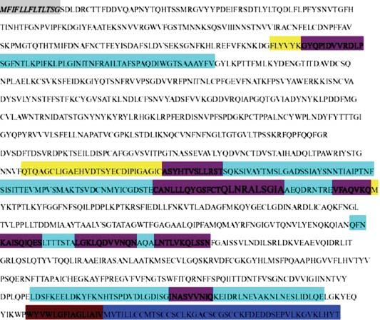 K.-Y. Hwa et al. 3 Region 1 Region Region 3 Region Figure 1: Sequence analysis of S protein.