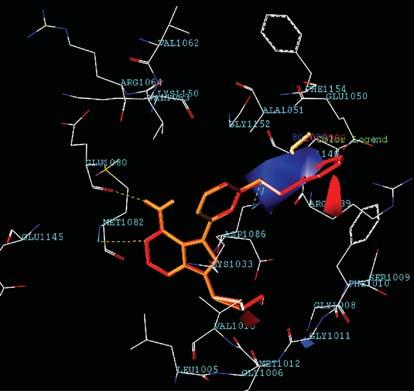 8 Journal of Biomedicine and Biotechnology red contour around 1 3 carbon of cyclobutane also demands the electron-rich group for higher potency.