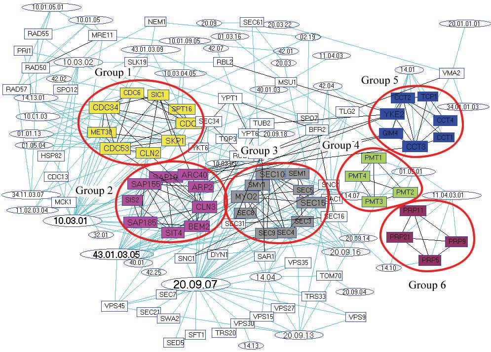 Journal of Biomedicine and Biotechnology Figure 3: Six near-cliques found in yeast protein interaction networks.