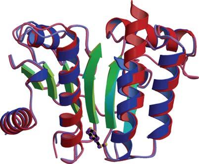 Journal of Biomedicine and Biotechnology α3 α1 α α5 R17 R186 α1 FsPP Mg + R18 βe α7 βb βd α R6 N15 D13 IPP S188 βa N F1 α H3 βb (a) (b) Figure 1: Crystal structures of H. pylori UPPS.