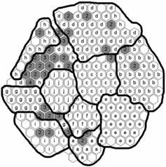 labelled cluster maps for clustering species Set 1 by (a) SOM, (b) GSOM with the pentanucleotide frequency. Each hexagon represents a single node.