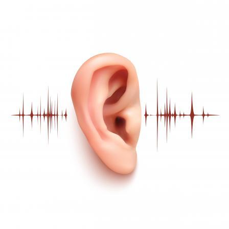 Sansetap og lydmiljø Ca 90 % av nordmenn over 80 år har redusert hørsel. Nedsatt evne til å sortere lyd Distraheres lett av lyder Ca 80 % av norske sykehjemsbeboere har demens.