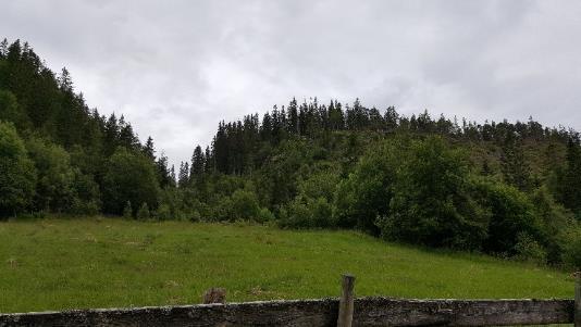 I bekken ble det også observert store steiner og blankt vann. Gården som ligger i området er plassert på et platå.