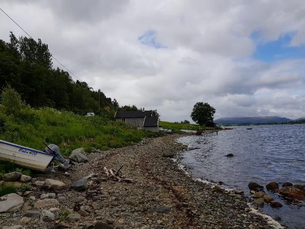 Vedlegg C Bilder fra befaring Sørlige del av