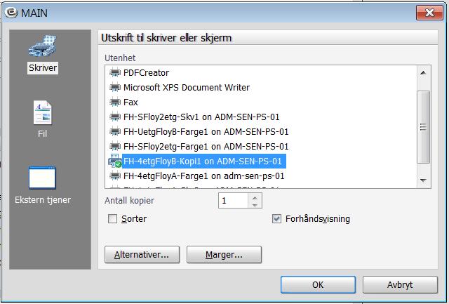 Du får fram bilde for utskriftsvalg: Forhåndsvisning skal være huket av for å se rapporten før utskrift. Klikk OK.