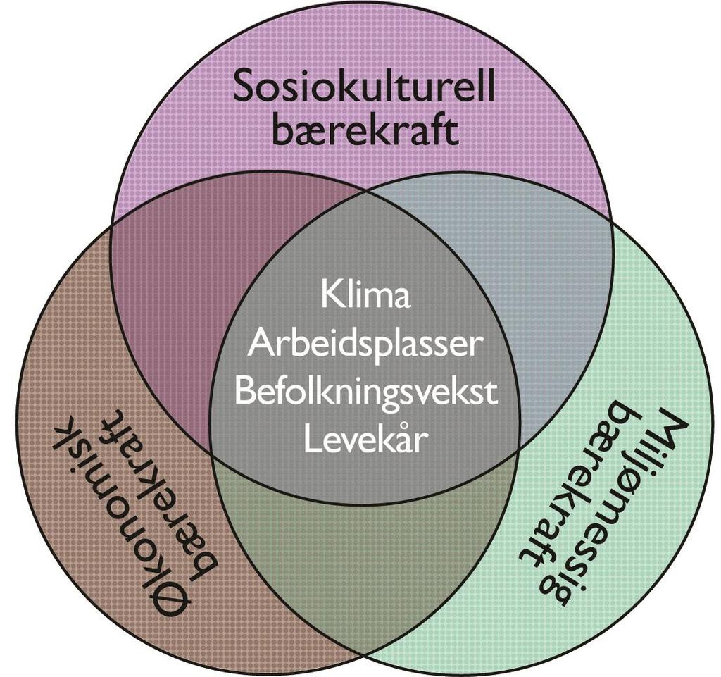 Bærekraftige Telemark 2016-20 Gangbare satsingsområder og strategisk arbeid Stedstilhørighet og særpreg Integrering og mangfold Bygde-/byens rolle i regionen og vekstpotensial Møteplasser Offentlige