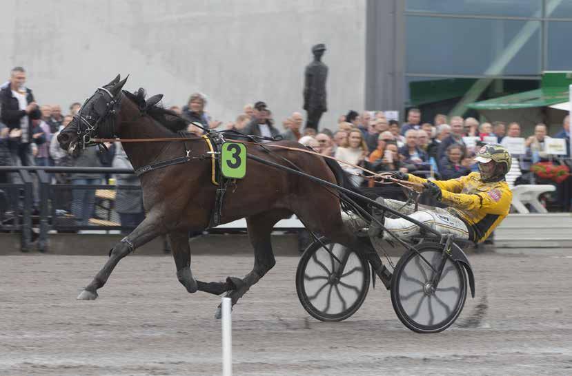 TRAVPROGRAM LØRDAG Sørlandets 21. september TRAVPARK Start 1. løp kl. 19.30 V65 kl. 19.30 V4 kl. 20.