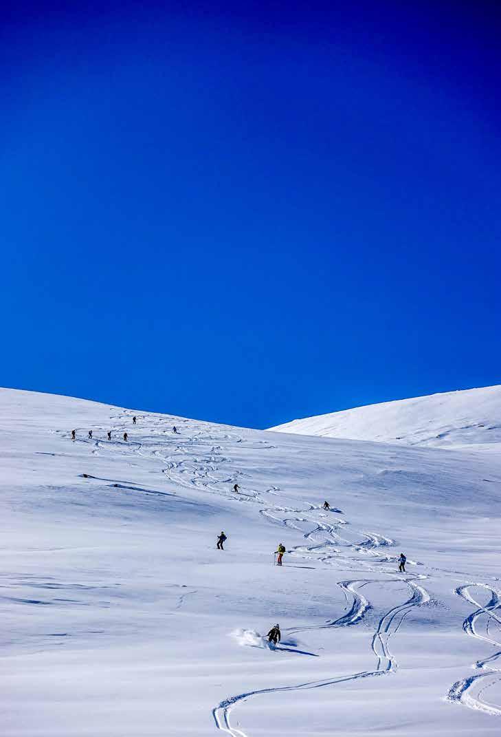 Guidede turer fra Eidsbugarden Tyin Aktiv har arrangert guidede turer i Eidsbugarden-området i snart 20 år, sommer som vinter.