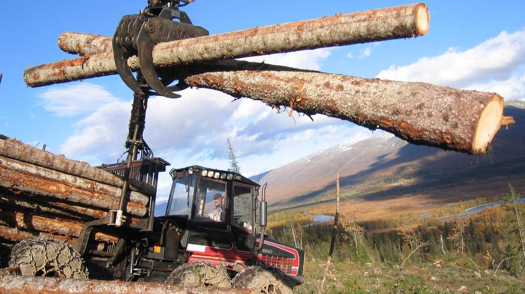 EU og regjeringen er nå enige om at hogsten i Norge