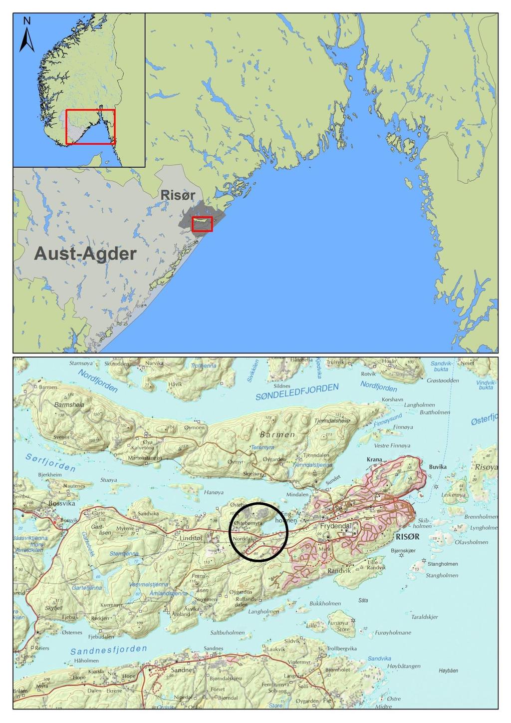 Figur 3. Oversikt over planområdet og lokaliteten. Kartgrunnlag: Statens kartverk.