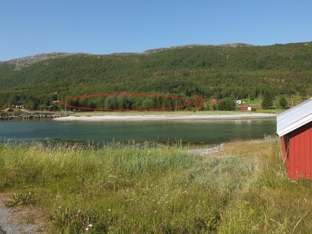 1 og grenser i nordøst, øst og sydvest til naboeiendommer. Mot nordvest begrenses planområdet av en linje langs kote +20,0.