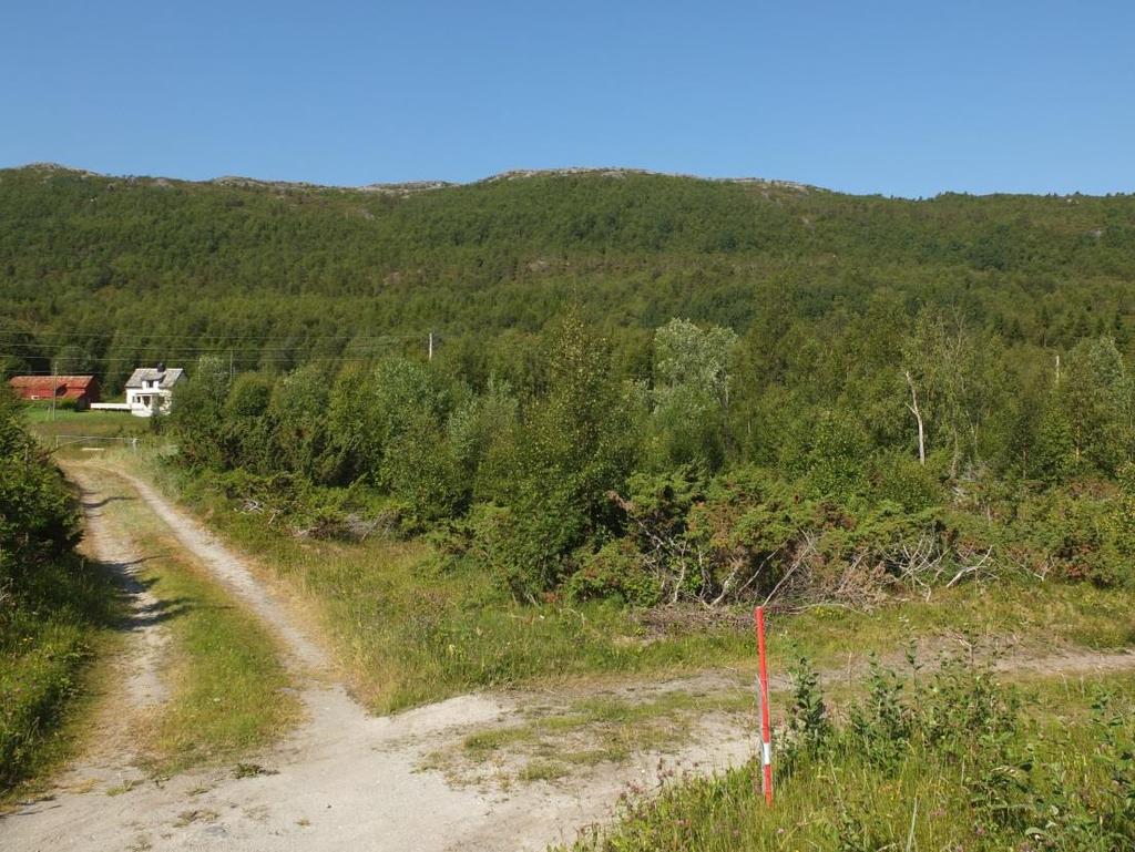 Fig. 6. Tårnvikveien i venstre del av bildet, sett fra nord.