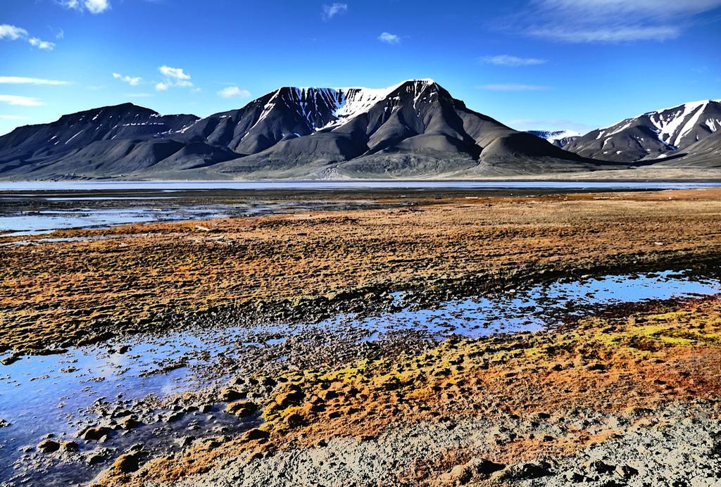 Foto: Ståle Nylund Elver og daler Svalbard har mange vannførende daler. På grunn av permafrosten vil ikke vannet trenge langt ned i bakken, men spre seg utover hele dalbunnen og lage et elvedelta.