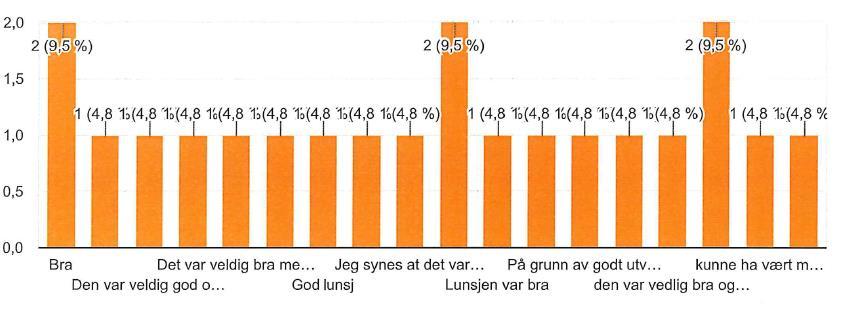 17 4) Hva synes du om lunsjen?