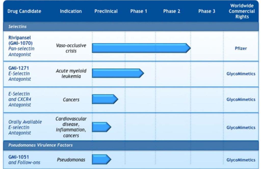 The E-selectin-specific antagonist GMI-1271!