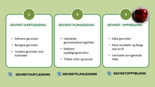 Fasene i gevinstrealiseringsprosessen 1.