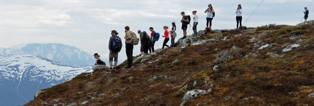 Ambisjonar og profil Gjennom utdanning og forsking skal FHS medverke til betre helse- og velferdstenester, behandling, mestring og omsorg til pasientar og brukarar i alle situasjonar og livsfasar.