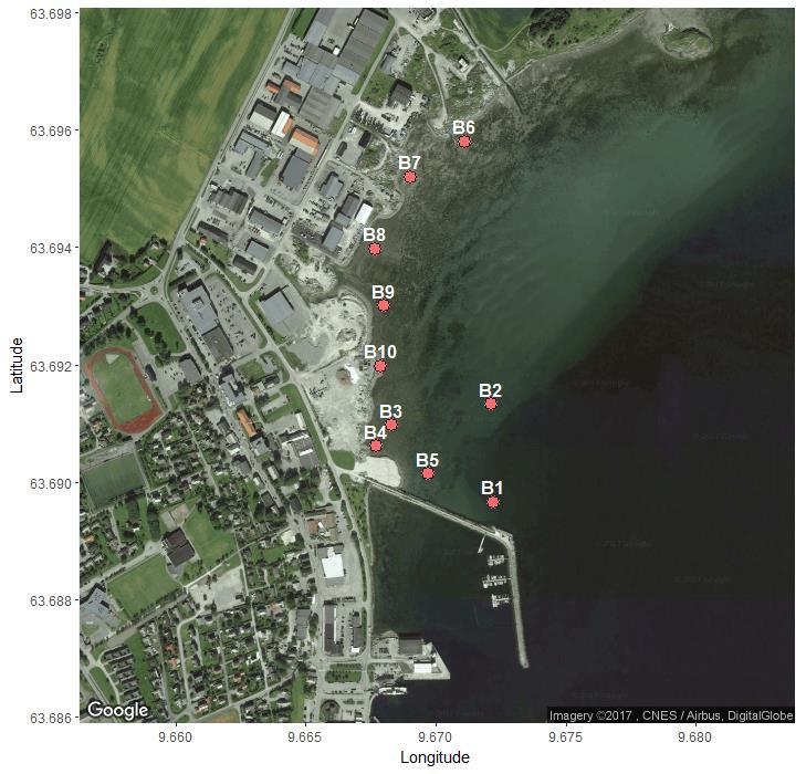 Miljøtekniske Sedimentundersøkelser og tiltaksplan 5 av 15 Figur 3. Oversikt over prøvepunkter ved miljøteknisk prøvetaking i Brekstadbukta. 2.