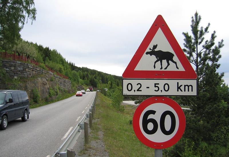 Vegdirektoratet Transportavdelingen Seksjon for