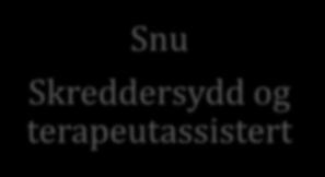 Snu Skreddersydd og