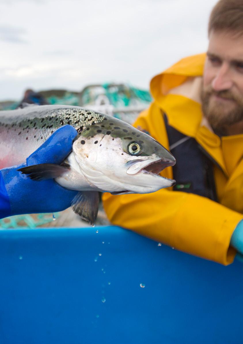 04 Salmosan Vet Tillit til kvalitet VI SETTER DE HØYESTE STANDARDER, SLIK AT DU KAN MARKEDSFØRE FISKEN DIN MED 100 % TRYGGHET Salmosan Vet er spesielt utviklet for å overholde de strengeste