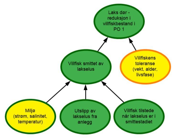 Ny metodikk Bruk av Bayesianske nettverksmodeller i kvalitativ form Grafisk modell som visualiserer risikobildet i form av årsak-virkning Strukturert utgangspunkt for diskusjon og debatt Endrer