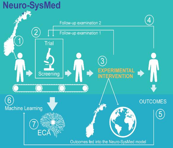 Neuro-SysMed Enkeltstudier med egne endepunkt og resultater Systemmedisin-database med multiple studier og