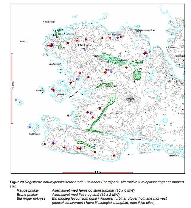 Figur 2 Naturtyper på Lutelandet. Kilde: Konsesjonssøknad Lutelandet Energipark. 1.