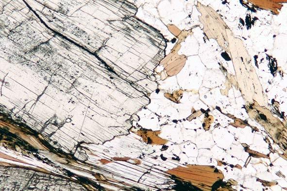17. En marmor som inneholder dolomitt viser krystallisering av ny metamorf olivin.