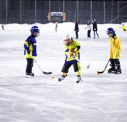 Talent- trenbart eller ikke? Statisk talentbegrep Ferdighet/talent forstått statisk - talent noe du har ("Fixed mindset") Arvelig belastet? Trenbart?