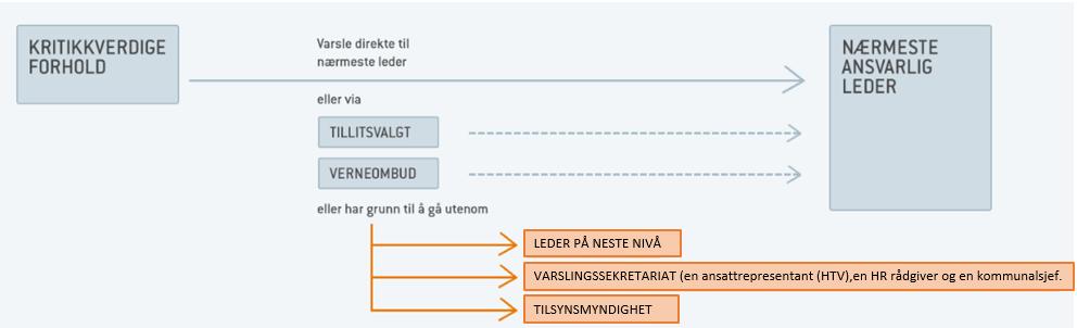 Seksuelle overgrep Brudd på taushetsplikt Forhold som medfører fare for liv og helse Rettighetsbrudd Maktmisbruk Mobbing og trakassering Diskriminering Kritikkverdige forhold må opphøre, og skiller