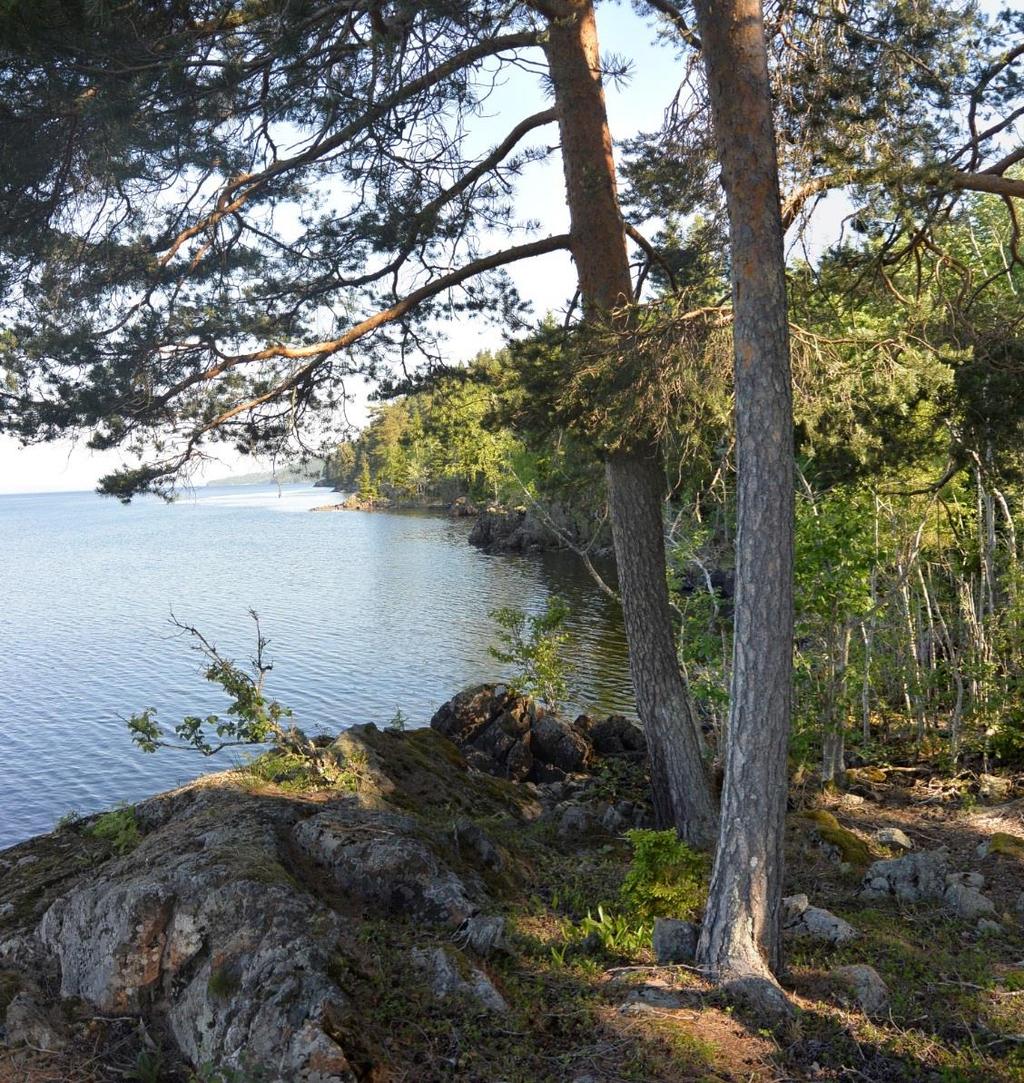 Figur 5-4: Skog og bart fjell ved strandsonen ved Holsfjorden og delområde V2 Strandsone Vefsrud Delområde V3 Fjulsrud Delområde V3 er et lite landbruksområde omkranset av skog helt nord i