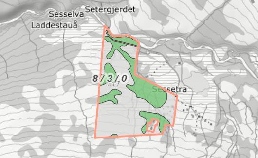 Ved synfarig framstår dette som korrekt, men samtidig viser vassfara/små bekkar at mindre stein ligg tett opp i dagen, mest truleg avsett i morene.